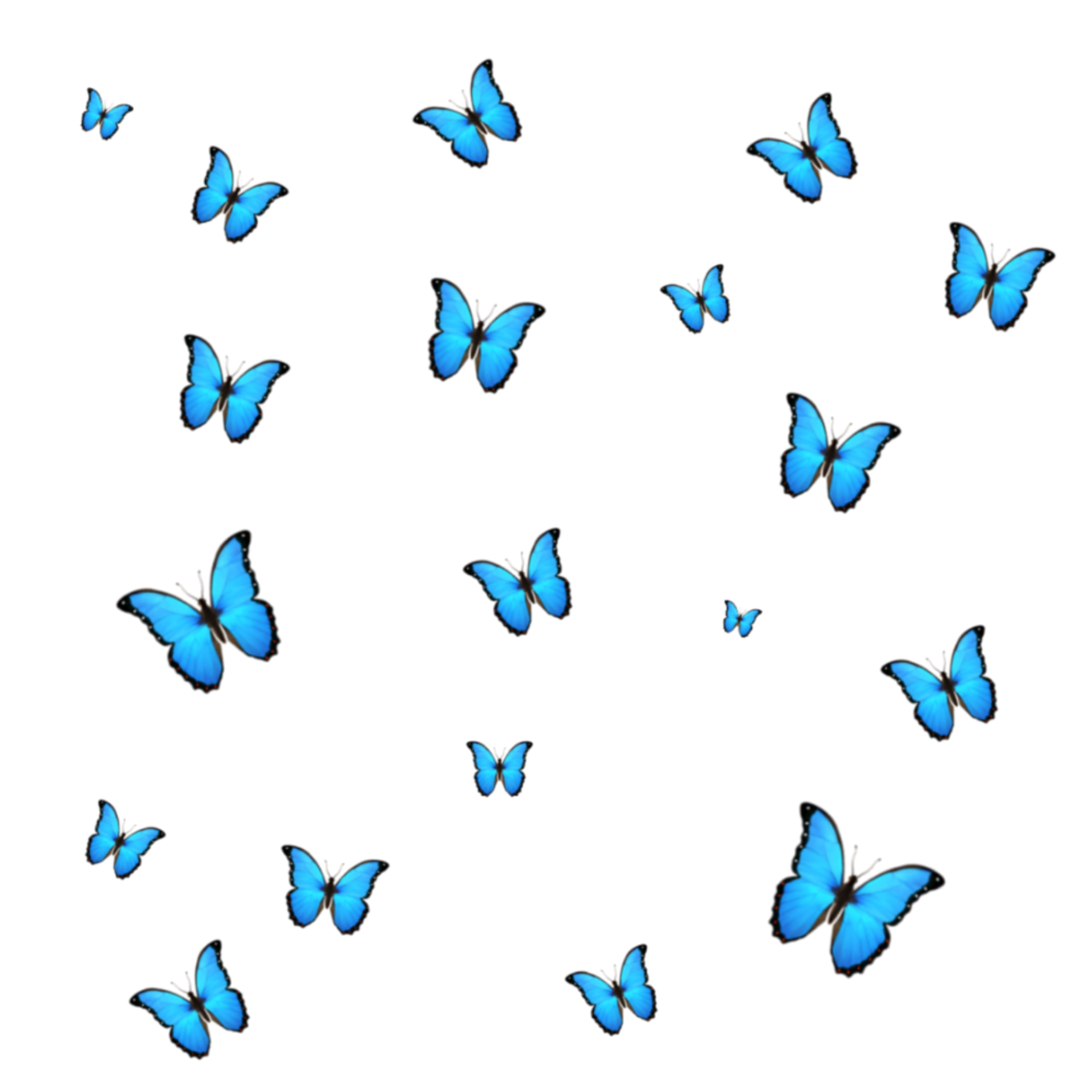 Бабочки много на голубом фоне