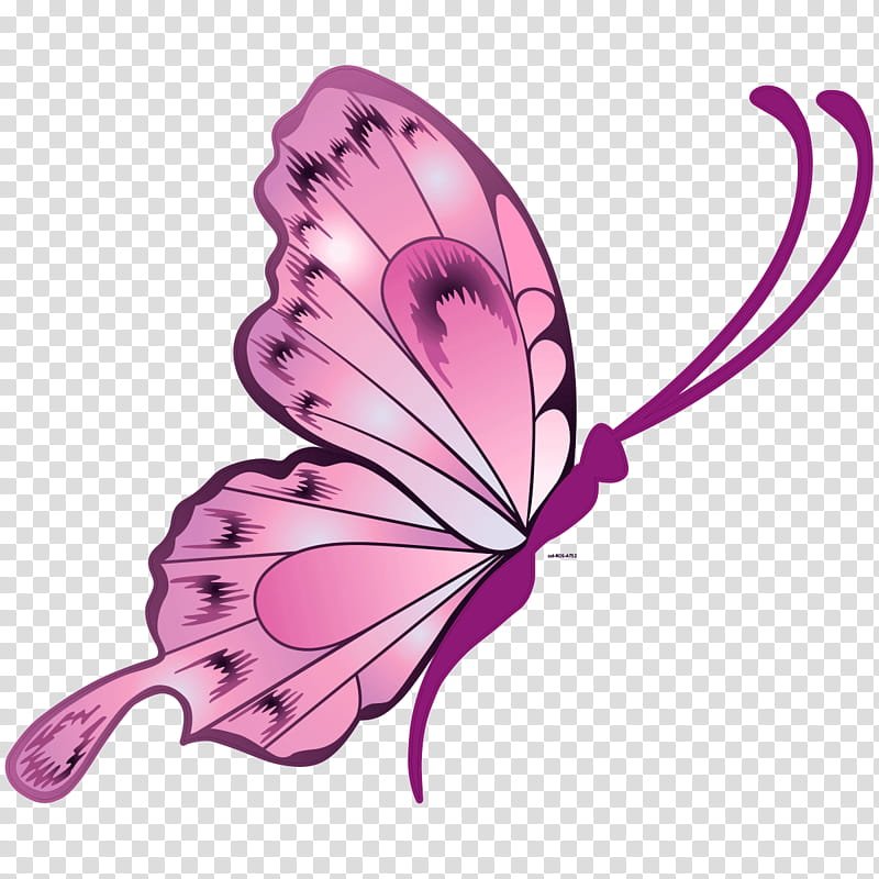 Рисунки бабочки Стикеры