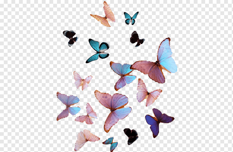 Фон бабочки для фотошопа