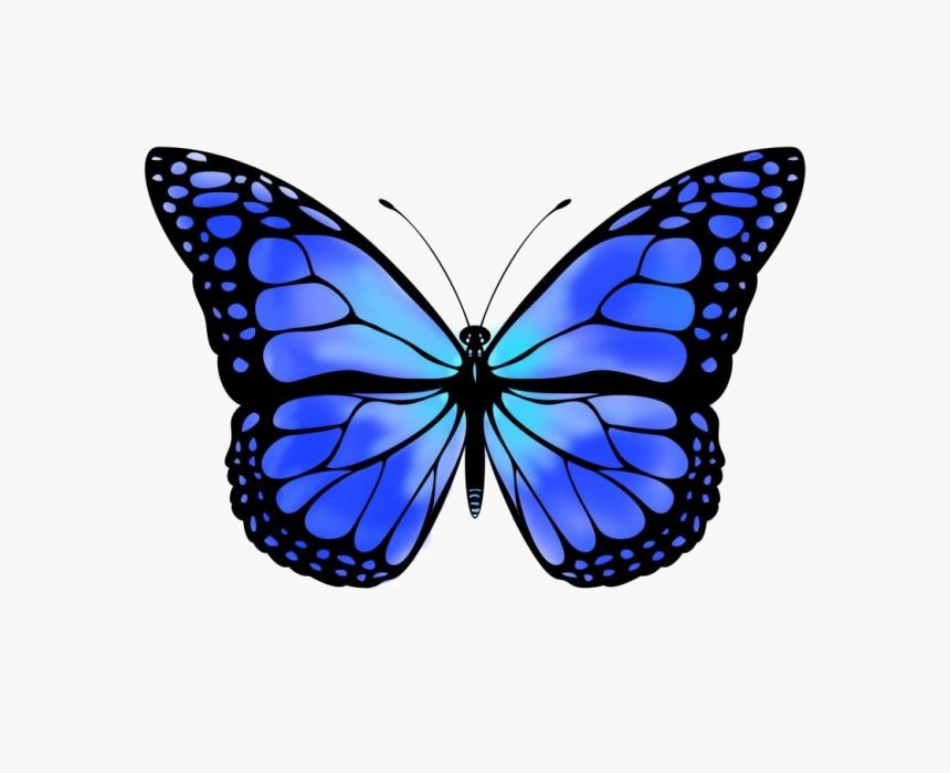 Голубые бабочки мультяшные