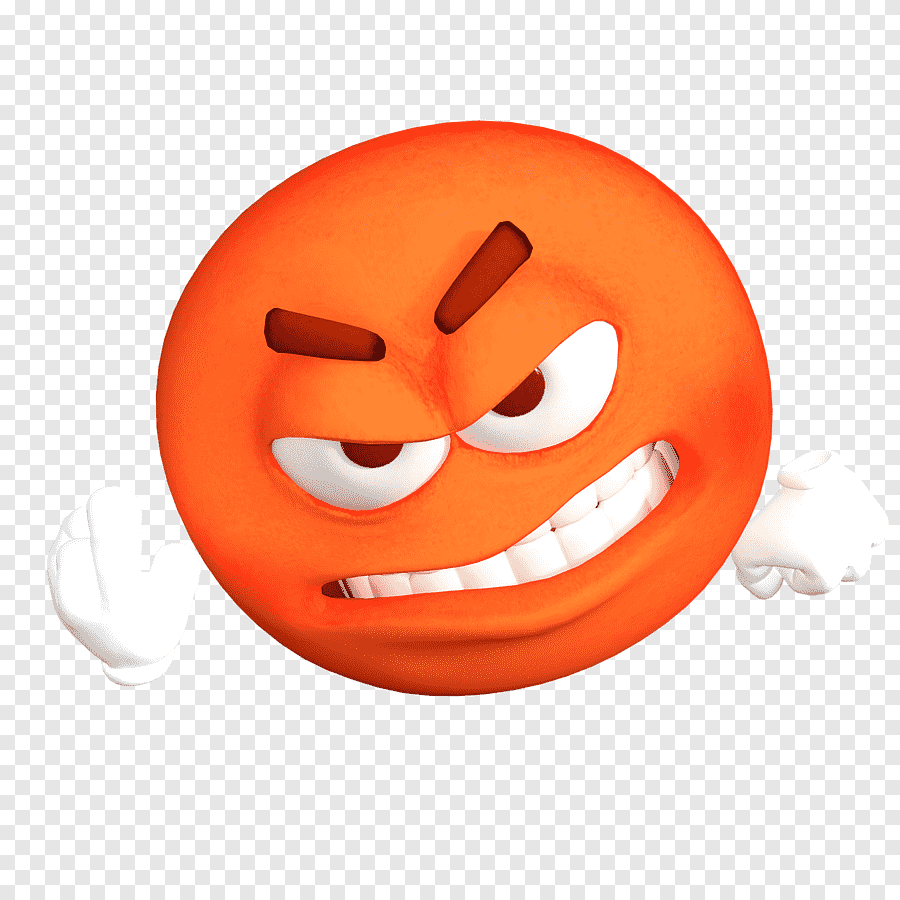 49 49