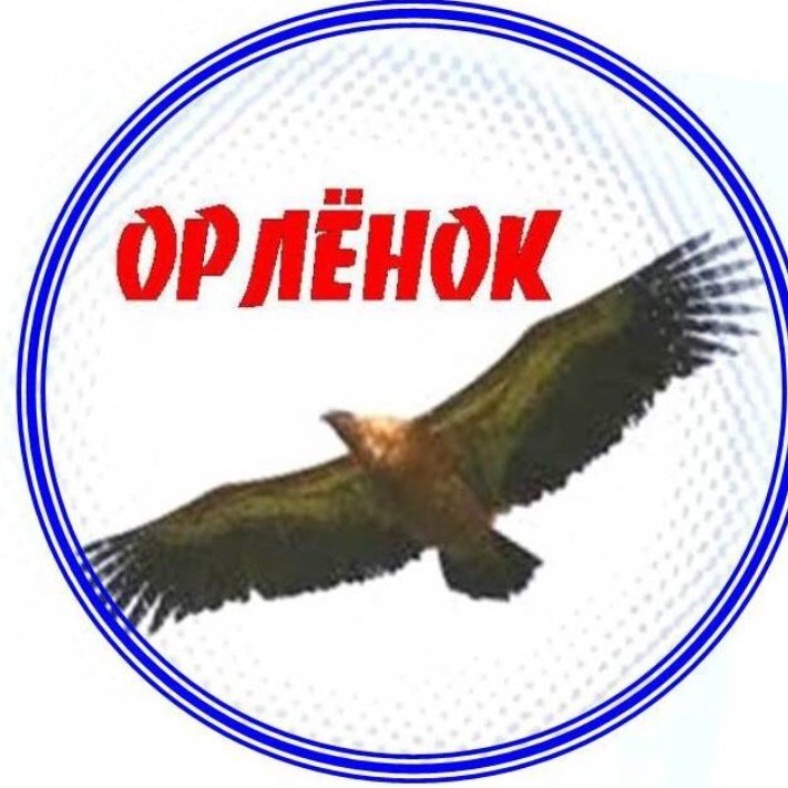 Рисунок орлята россии (48 фото) скачать бесплатно
