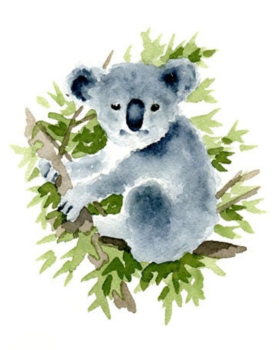 Картина коала акварелью