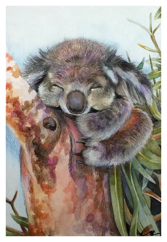Картина по номерам коала