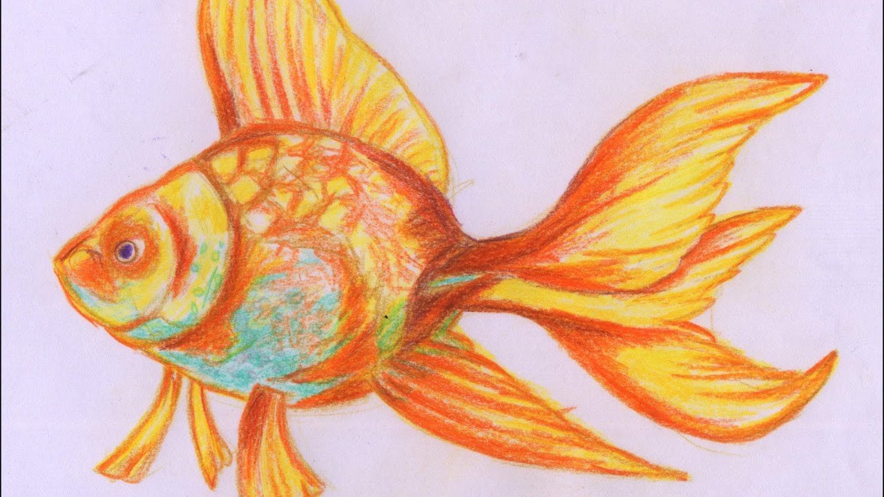 Рисование Золотая рыбка