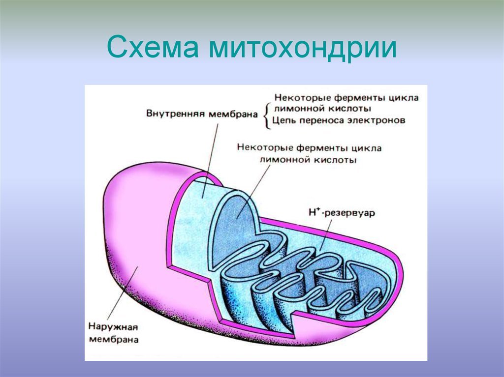 47 47