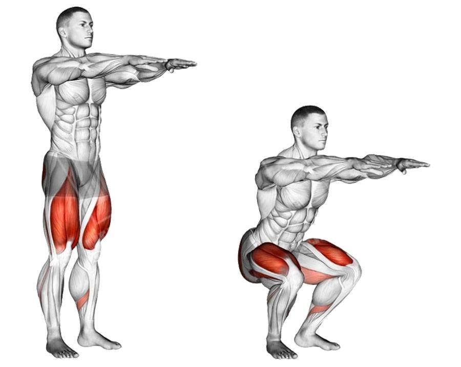 Ginkgo ���: ����.