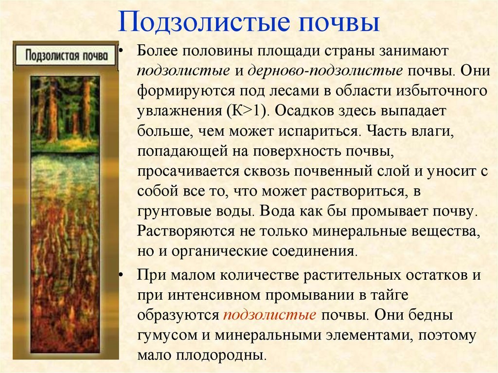 Подзолистая почва рисунок (48 фото) скачать