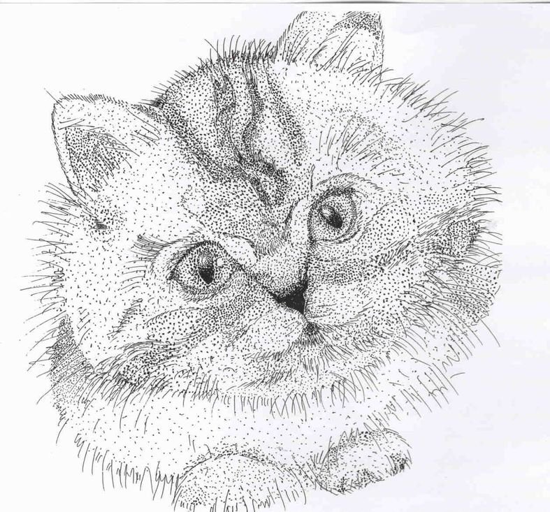 Точечный рисунок bmp (44 фото) скачать бесплатно