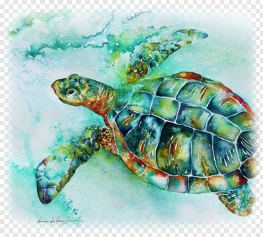 Морская черепаха акварель