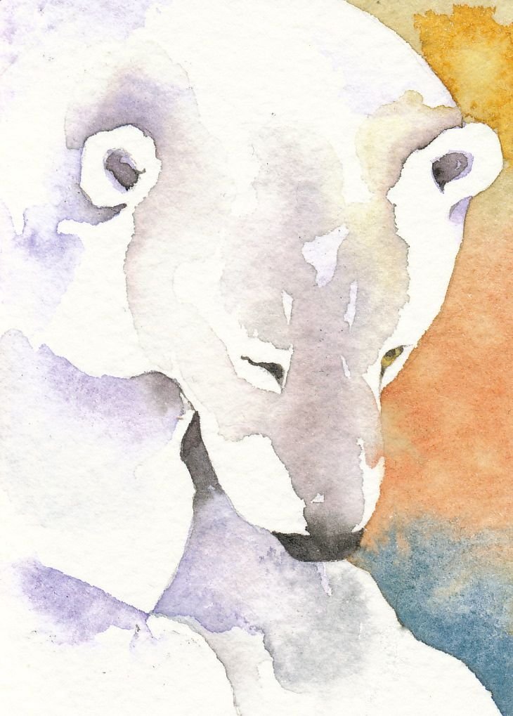 Рисование белого медведя