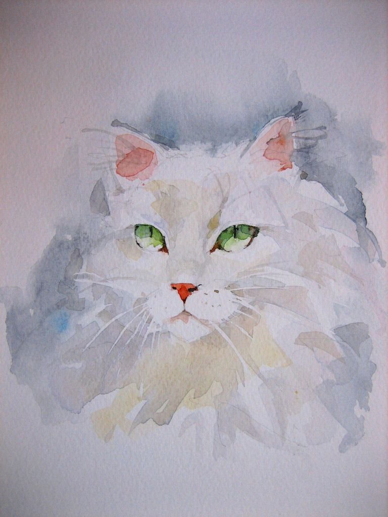 Белый кот акварелью