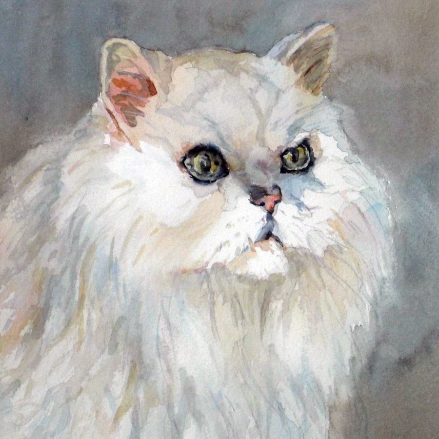 Персидский кот акварель