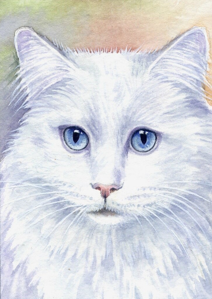 Белая кошка акварелью