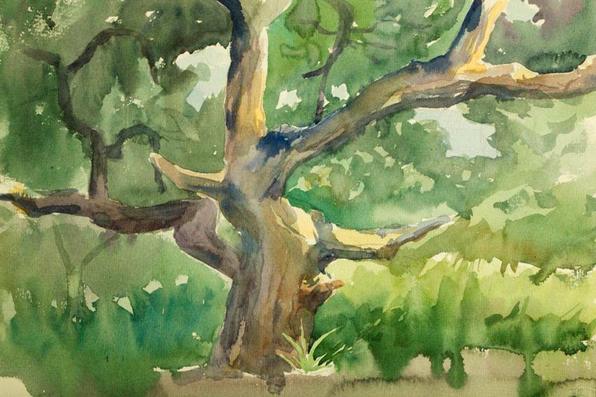 Marcia Baldwin картины деревья