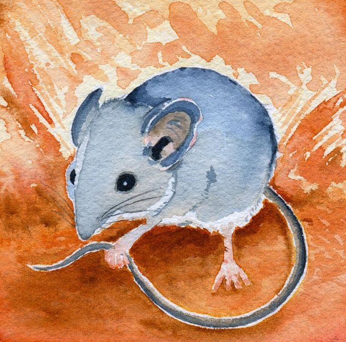 Мышка с красками