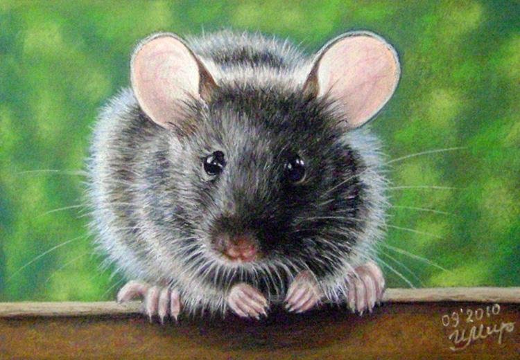 Мыши в живописи