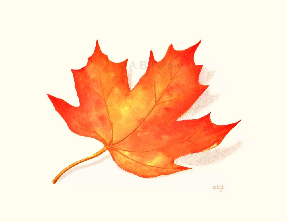 Нарисовать осенние листья