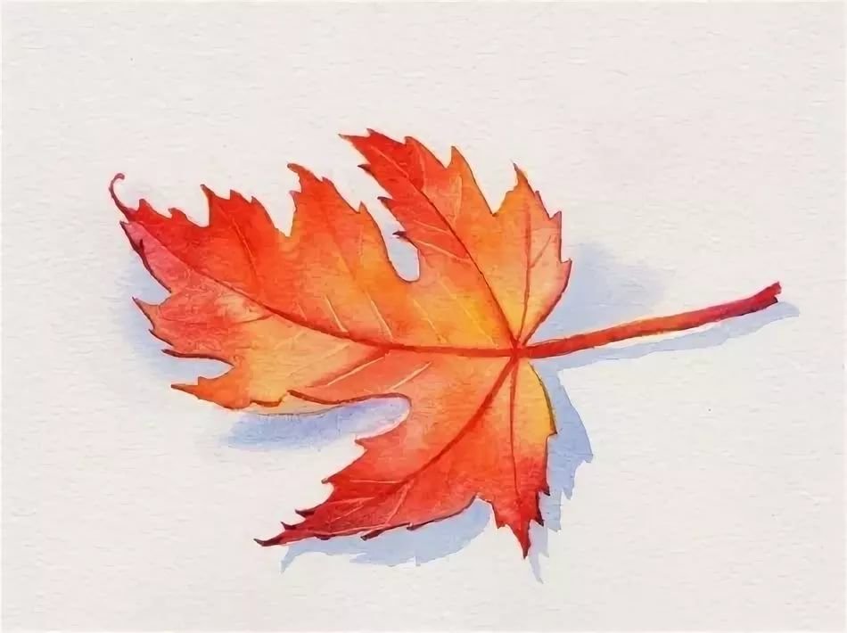 Рисуем красками кленовый лист