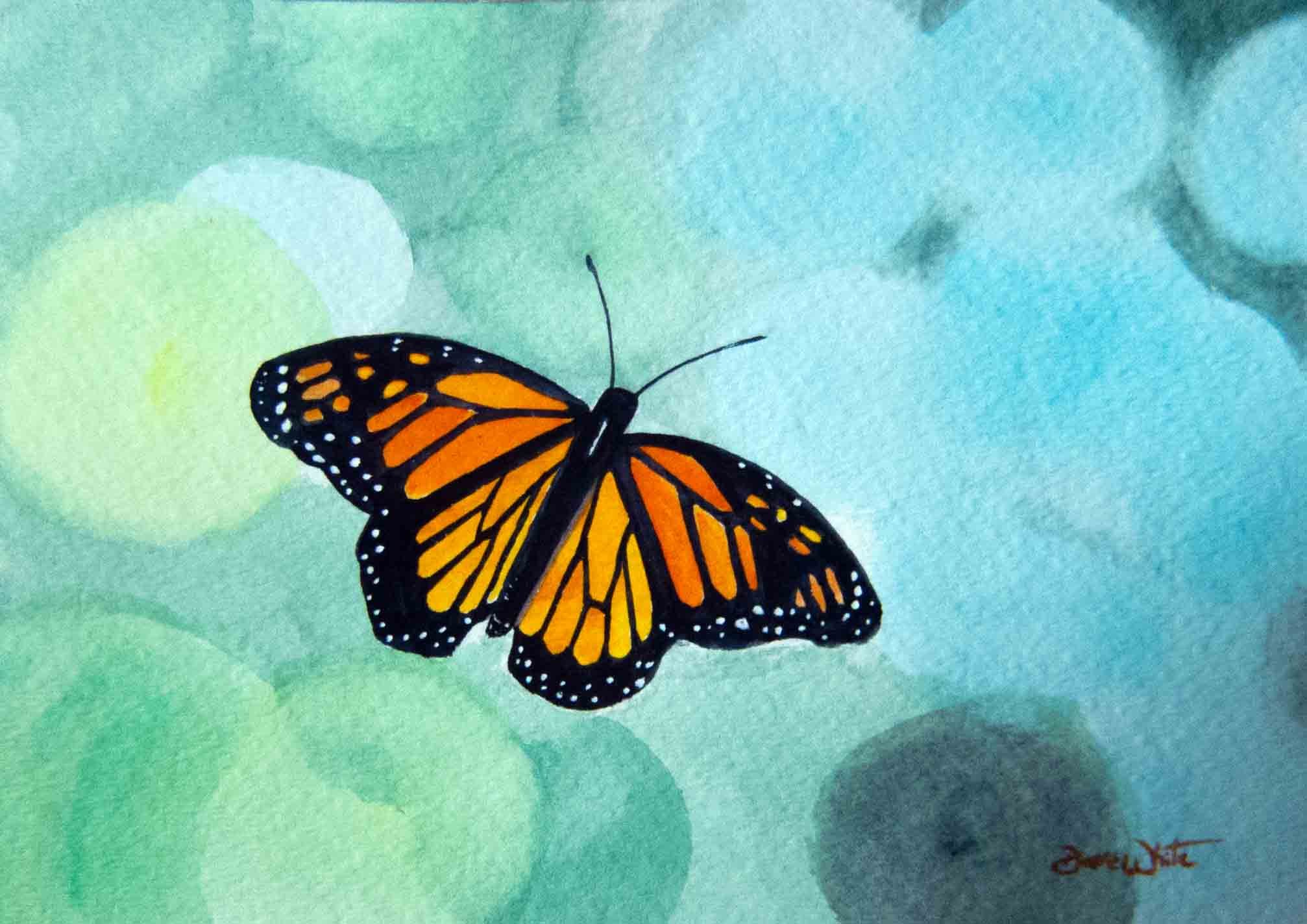 Бабочки живопись акварелью