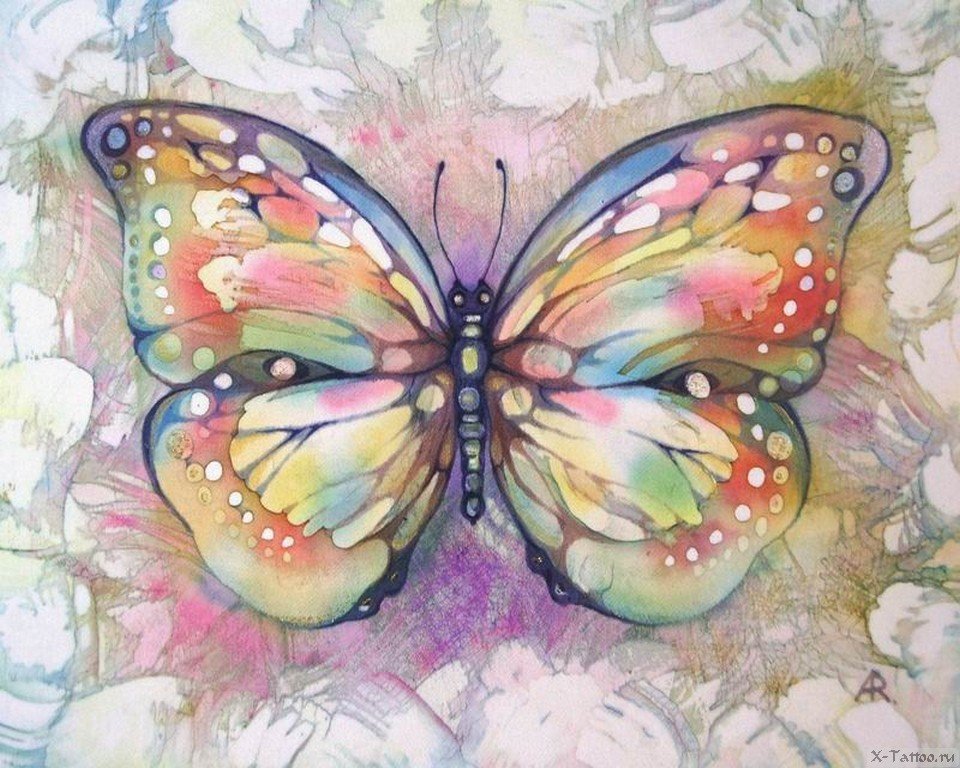 Живопись декоративная бабочки