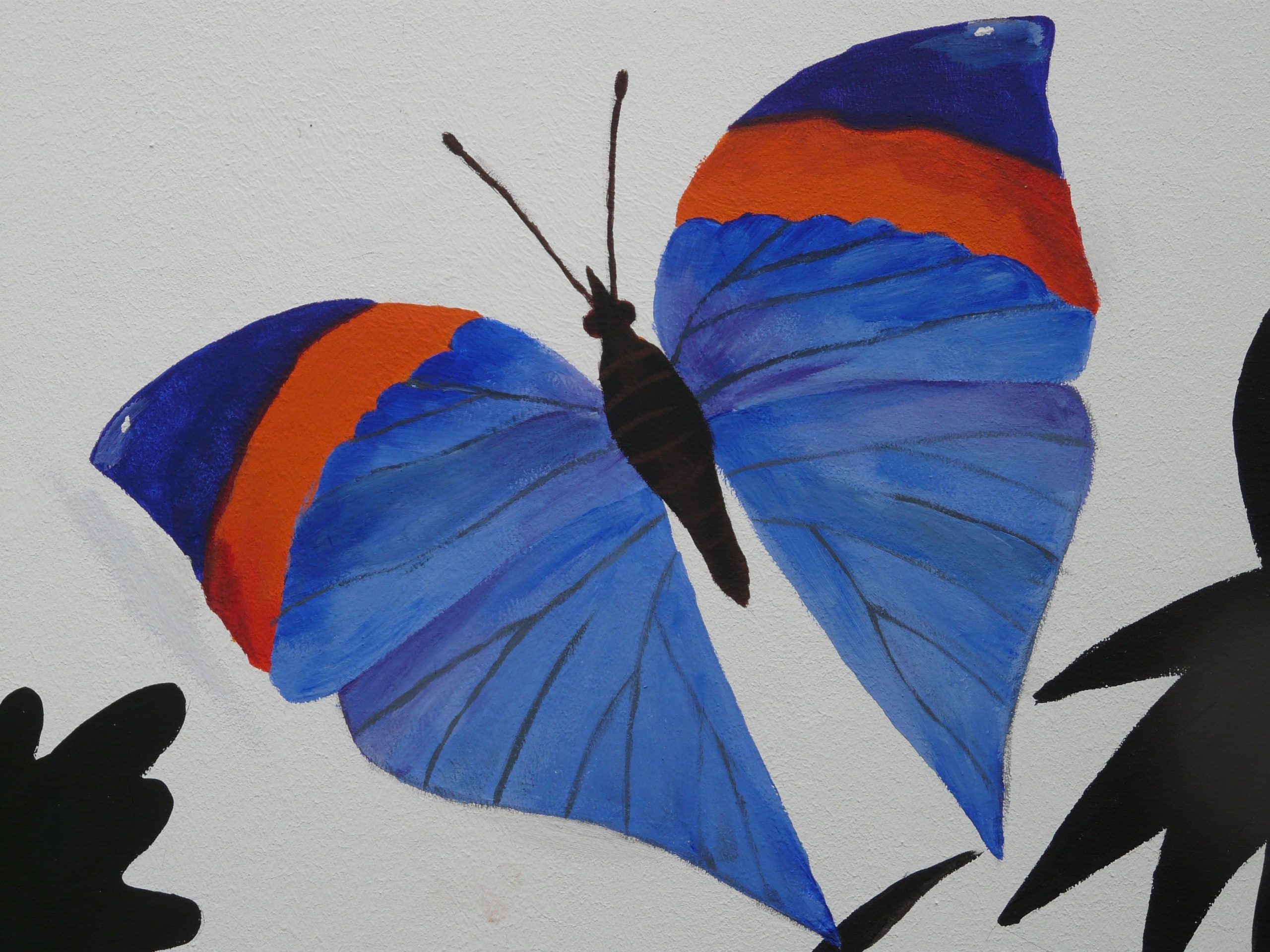 Рисуем бабочку красками