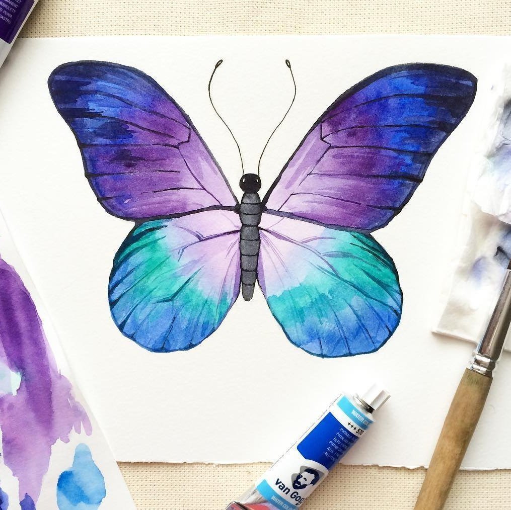 Красиво раскрасить бабочку