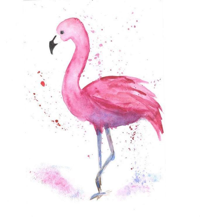 Фламинго акварелью скетч