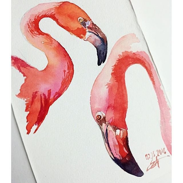 Фламинго гуашью