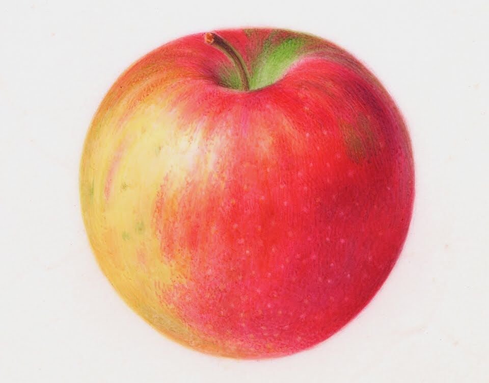 Яблоко красками