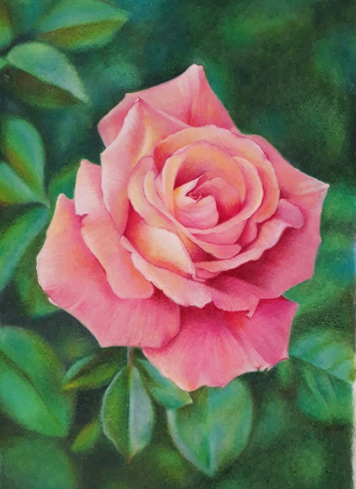 Роза рисунок гуашью