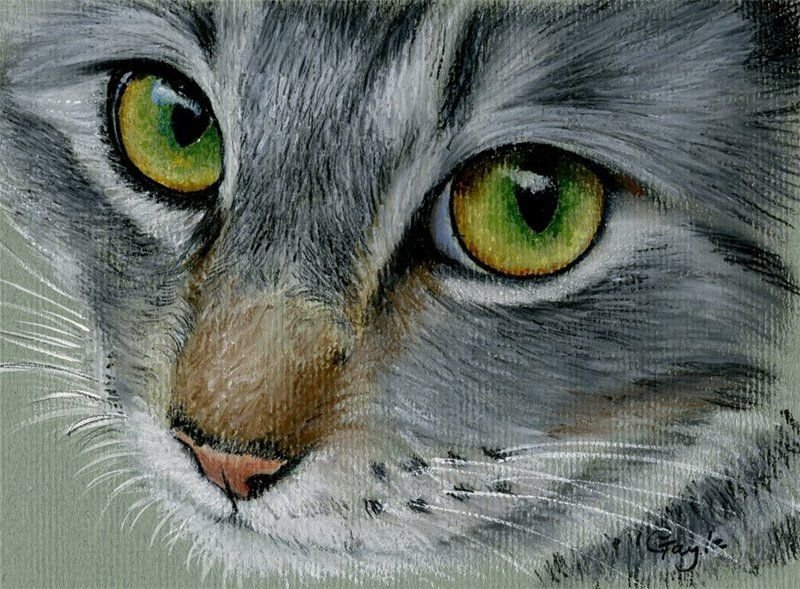 Кот масляной пастелью