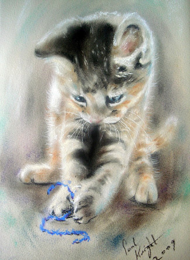 Пол Найт художник коты пастелью