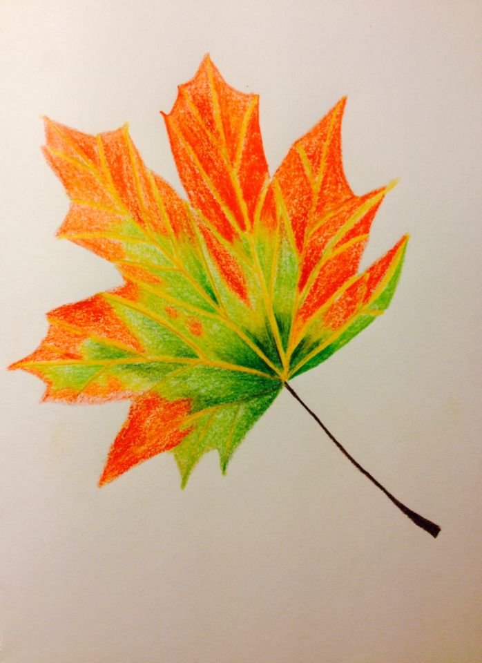 Рисование кленовых листьев