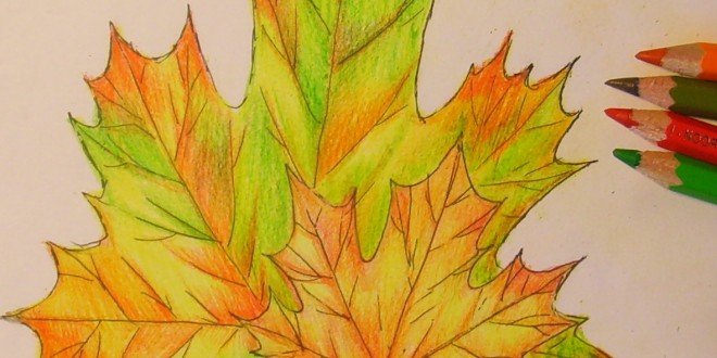Листья цветными карандашами