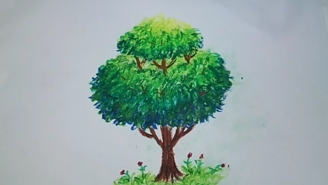 Как рисовать дерево
