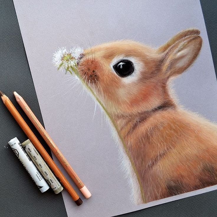 Заяц рисование для детей красками