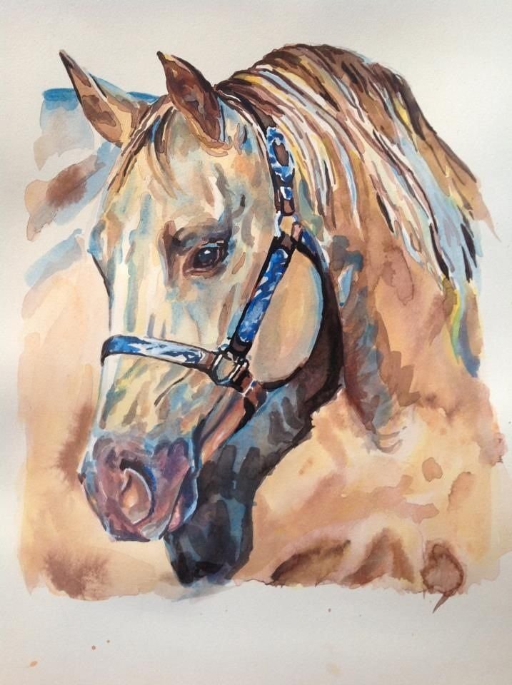 Портрет лошади акварелью