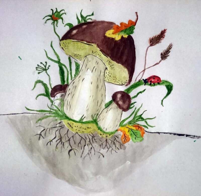 Рисование грибов