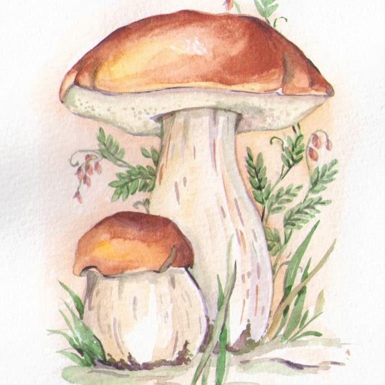 Нарисовать белый гриб