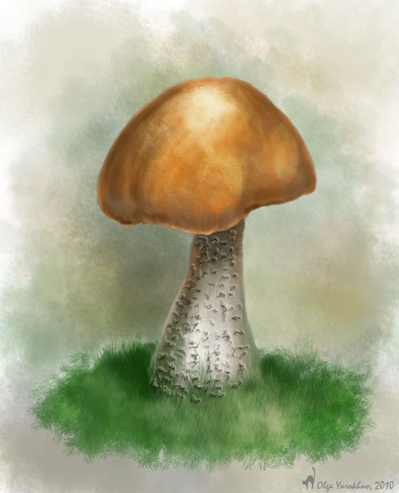 Нарисовать гриб подосиновик