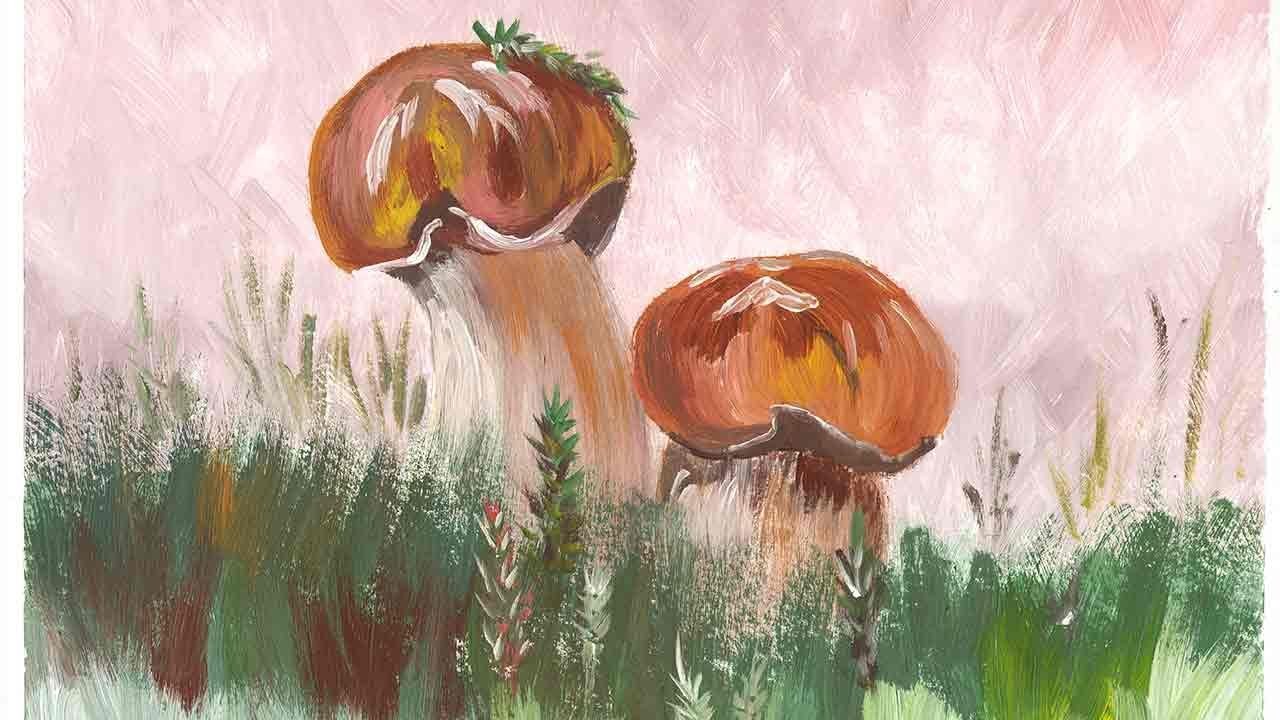 Правополушарное рисование грибы