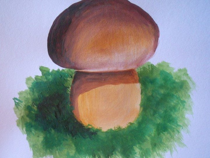 Рисование гриб Боровик