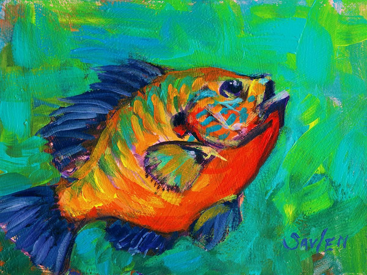 Рыбы акриловыми красками
