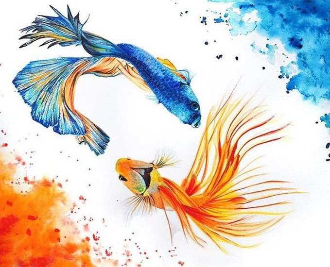 Золотая рыбка красками