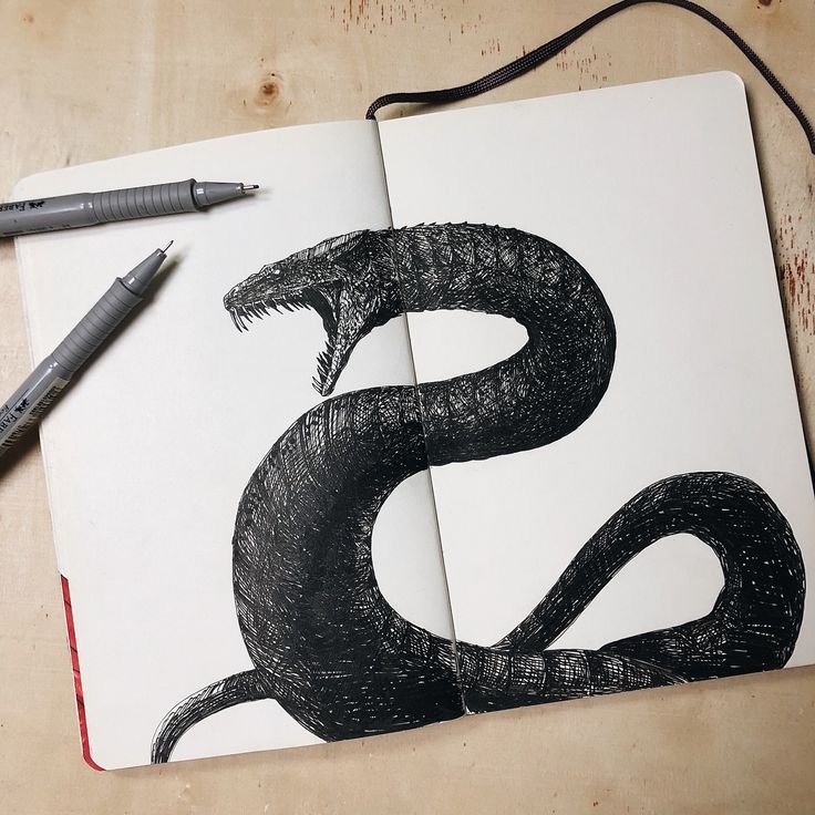 Змея черным маркером