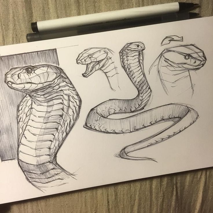Змеи для скетчбука