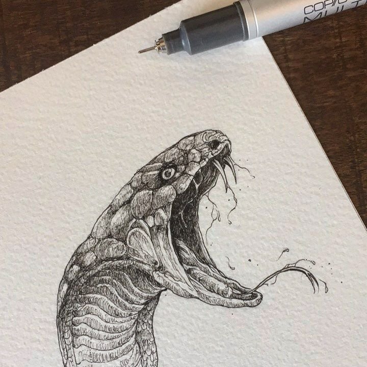 Змея чёрной ручкой