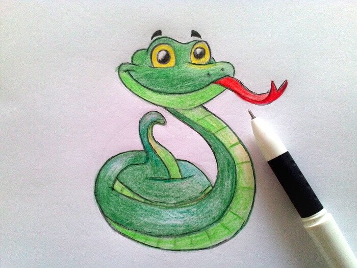 Змея рисунок карандашом для срисовки