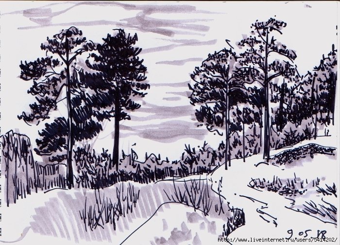 Лес рисунок фломастерами